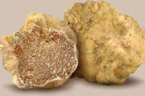 White truffle