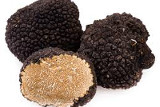 Summer truffle